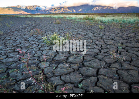 Risse im trockenen Bett von theewaterskloof Dam bei Kapstadt Wasserkrise, Villiersdorp, Provinz Westkap, Südafrika Stockfoto