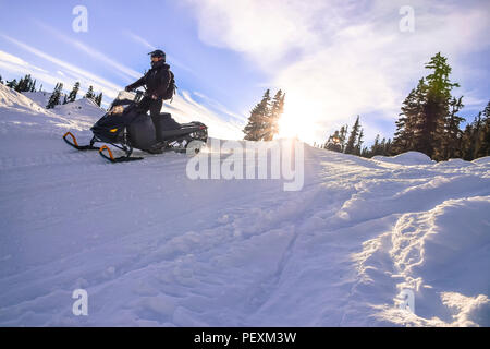 Mann, snowmobile im Callaghan Valley, Whistler, British Columbia, Kanada Stockfoto