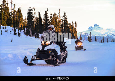 Mann, Schneemobil, Callaghan Valley, Whistler, British Columbia, Kanada Stockfoto