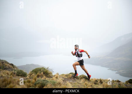 Trail im Torres del Paine Nationalpark, Magallanes region, Chile Stockfoto