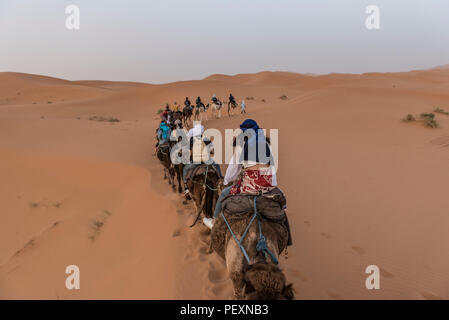 Touristen reiten Kamele in der Wüste Sahara, Merzouga, Marokko Stockfoto