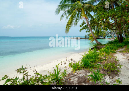 Eine Abgeschiedene und raw Paradies im Süden der Provinz Palawan. Stockfoto