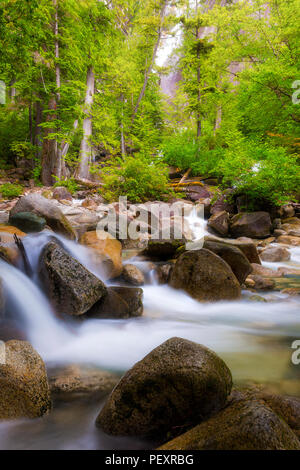 Der Bach unten Shannon Falls in Provincial Park in Squamish Kanada Stockfoto