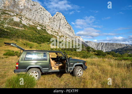 Natur Entwicklung, ökologische Wiederherstellung, rewilding, Landschaft Stockfoto