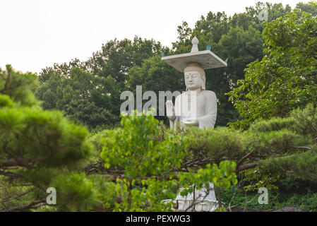 Große Buddha Statue am Bongeunsa Tempel in Seoul, Südkorea Stockfoto