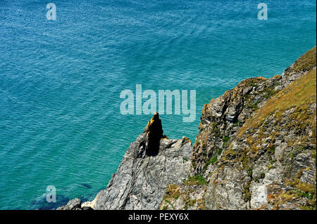 Ein Abschnitt des Südwestens Küstenweg in der Nähe von Hope Cove in South Hams Devon, Großbritannien Stockfoto