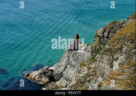 Ein Abschnitt des Südwestens Küstenweg in der Nähe von Hope Cove in South Hams Devon, Großbritannien Stockfoto