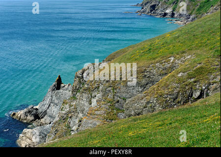 Ein Abschnitt des Südwestens Küstenweg in der Nähe von Hope Cove in South Hams Devon, Großbritannien Stockfoto