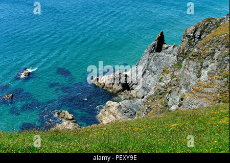 Ein Abschnitt des Südwestens Küstenweg in der Nähe von Hope Cove in South Hams Devon, Großbritannien Stockfoto