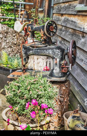 Zwei alte Nähmaschinen auf einem Baumstamm. Es gibt auch viele bunte Blumen. Stockfoto