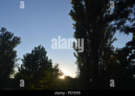 Teius Park in Karansebesch bei Sonnenuntergang Stockfoto