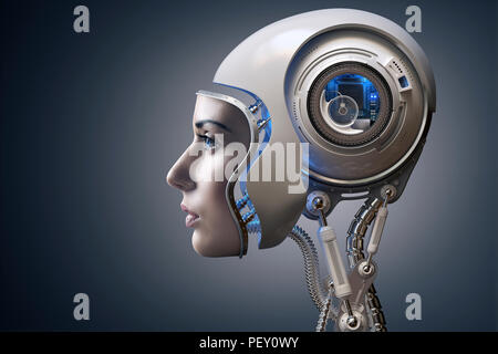 Cyborg illustriert mit dem Gesicht eines echten junge Frau mit einem 3D-gerenderte Roboter kombiniert Kopf. Konzeptionelle futuristische Bionik und künstliche Intelligenz Stockfoto