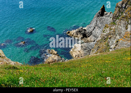 Ein Abschnitt des Südwestens Küstenweg in der Nähe von Hope Cove in South Hams Devon, Großbritannien Stockfoto