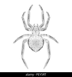 Low Poly spider Hackerangriff Gefahr. Web Security virus Daten Sicherheit antivirus Konzept. Polygonale modernes design Business Konzept. Internetkriminalität web Insekten Käfer Technologie Vector Illustration Stock Vektor