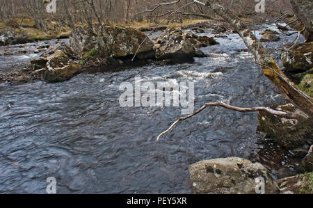 Die Kraft und die Schönheit der Oberlauf des Flusses North Esk, Glen Esk, Angus, Schottland, UK mit überhängenden Ast Signalisierung eine Lebensader der Hoffnung. Stockfoto