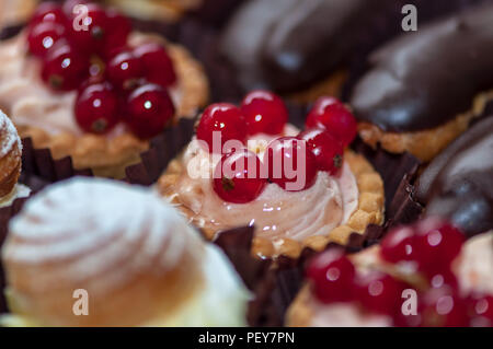 Nahaufnahme eines Cupcake mit Sahne und Früchten. Rote Johannisbeeren (rote Kirsche). Stockfoto