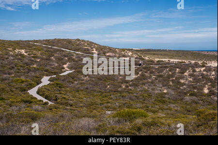 Eine hölzerne Weg durch den Busch in Kalbarri, National Park, WA, Western Australien, Ozeanien, Indischer Ozean führende Stockfoto