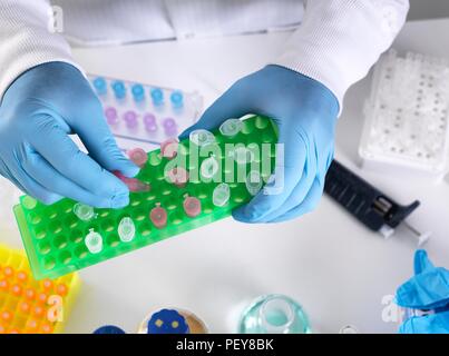 Wissenschaftler der Vorbereitung einer Probe in einem Eppendorf Röhrchen für die chemische Analyse. Stockfoto