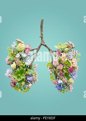 Frühlingsblumen, die menschliche Lunge, konzeptionelle Studio gedreht. Stockfoto