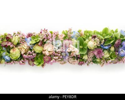 Frühling Blumen in einer Linie, Studio gedreht. Stockfoto
