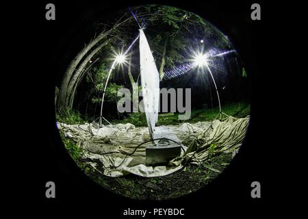 Luz con Fotos para atraer insectos Como palomillas hacia una tela Blanca en el bosque En medio de la noche. Luz Verde. Farbe Verde. Licht mit Fotos Insekten wie Motten auf ein weißes Tuch im Wald mitten in der Nacht zu gewinnen. Grünes Licht. Grüne Farbe. De expedición Entdeckung Madrense GreaterGood ORG que recaba datos que Syrvaine como Información de Direct para entender mejor las Relaciones biológicas del Archipiélago Madrense y se Usan para proteger y conservar las Tierras de las Islas vírgenes Sonorenses Serranas. Binacional Expedición aye une ein colaboradores de Méxic Stockfoto