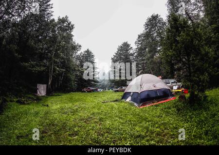 Neblina. Nebel. Verde paisaje y Bosque de Pinos en La Cueva Tres Rios, Sonora, Mexiko. Sierra Madre Occidental. Grüne Landschaft und Pinienwald in La Cueva Tres Rios, Sonora, Mexiko. Sierra Madre Occidental. (Foto: LuisGutierrez/NortePhoto.com) Madrense de Expedición Entdeckung GreaterGood ORG que recaba datos que Syrvaine como Información de Direct para entender mejor las Relaciones biológicas del Archipiélago Madrense y se Usan para proteger y conservar las Tierras de las Islas vírgenes Sonorenses Serranas. Binacional Expedición aye une ein colaboradores de México y Estados Unidos con exp Stockfoto