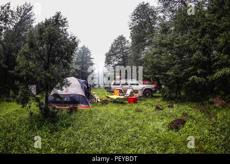 Neblina. Nebel. Verde paisaje y Bosque de Pinos en La Cueva Tres Rios, Sonora, Mexiko. Sierra Madre Occidental. Grüne Landschaft und Pinienwald in La Cueva Tres Rios, Sonora, Mexiko. Sierra Madre Occidental. (Foto: LuisGutierrez/NortePhoto.com) Madrense de Expedición Entdeckung GreaterGood ORG que recaba datos que Syrvaine como Información de Direct para entender mejor las Relaciones biológicas del Archipiélago Madrense y se Usan para proteger y conservar las Tierras de las Islas vírgenes Sonorenses Serranas. Binacional Expedición aye une ein colaboradores de México y Estados Unidos con exp Stockfoto