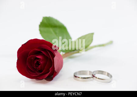 ausgewählte Schwerpunkt Red Rose. Ring auf weißem Hintergrund, Valentinstag Hintergrund, Hochzeitstag zu engagieren Stockfoto