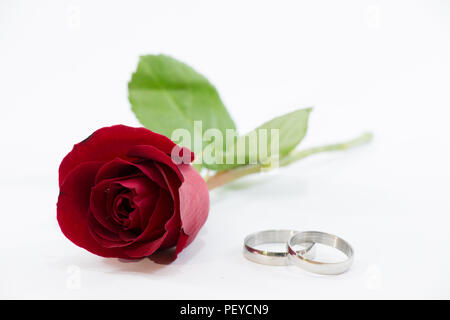 ausgewählte Schwerpunkt Engage Ring. Red Rose auf weißem Hintergrund, Valentinstag Hintergrund, Hochzeitstag Stockfoto