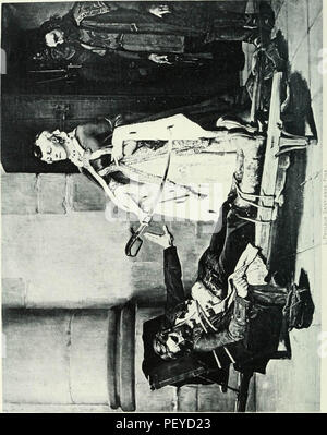"Die Bibliothek der historischen Figuren und berühmten Veranstaltungen aller Nationen und aller Altersklassen;' (1902) Stockfoto