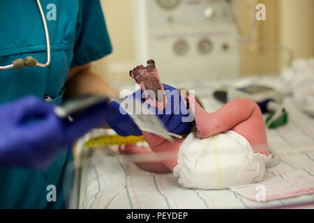 Neugeborene im Krankenhaus Stockfoto