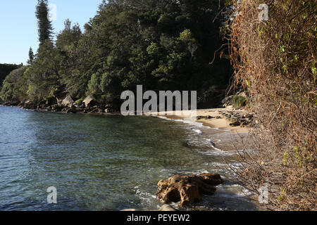 Queens Bay Strand, Einsiedler, Vaucluse, Sydney, Australien Stockfoto