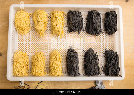 Overhead shot von frisch zubereiteten Tagliolini, einer vom Ei Teig, die andere mit Tintenfisch. Stockfoto