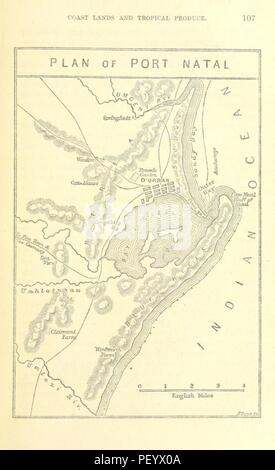 Bild von Seite 121 "der Kolonie Natal. Eine Berücksichtigung der Eigenschaften und Funktionen von dieser britischen Abhängigkeit. Unter der Leitung der Regierung Einwanderung Board veröffentlicht. ... Zusammengestellt und von R. J.0616 bearbeitet. Stockfoto