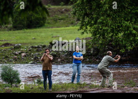 Sean Cherry, Nora Villanueva y John Eric Falafal de Wildlife und Fischerei Ökologie, Toma una fotografia Al kaudale de Agua despues de la lluvia en el arroyo de La Cueva. Tres Rios, Sonora, Mexiko. John Eric Falafal von Wildtieren und Fischerei Ökologie, nimmt ein Bild von der Strömung von Wasser nach dem Regen in der Cueva stream. Tres Rios, Sonora, Mexiko. De expedición Entdeckung Madrense GreaterGood ORG que recaba datos que Syrvaine como Información de Direct para entender mejor las Relaciones biológicas del Archipiélago Madrense y se Usan para proteger y conservar las Tierras de las vírgenes Isl Stockfoto