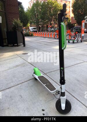 New York, New York, USA. 17 Aug, 2018. Portland Oregon Credit: John Marshall Mantel/ZUMA Draht/Alamy leben Nachrichten Stockfoto