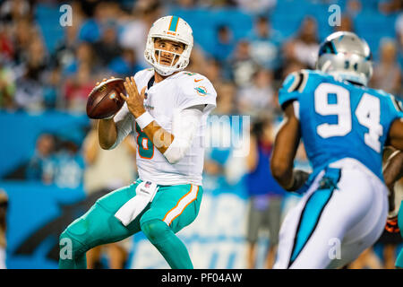 North Carolina, USA. 17. August 2018. Miami Dolphins quarterback Brock Osweiler (8) während der preseason NFL Football Spiel zwischen den Miami Dolphins und die Carolina Panthers am Freitag, August 17, 2018 in Charlotte, NC. Jakob Kupferman/CSM Credit: Cal Sport Media/Alamy leben Nachrichten Stockfoto