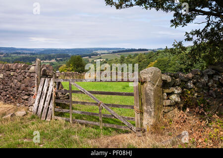 Lea, Derbyshire, Großbritannien 18 August 2018. Ein warmer und sonniger Tag im Derbyshire Dales, wo ein Flickenteppich von grünen Feldern, Trockenmauern und alten Bauernhof Tore eine typische ländliche Derbyshire Landschaft zu erstellen. Credit: Mark Richardson/Alamy leben Nachrichten Stockfoto