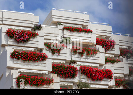 LOS Gigantes, Teneriffa/Spanien - 21. Februar: Leuchtend rote Geranien hängend von Balkonen in einem Appartementhaus in Los Gigantes Teneriffa am 21 Februar, 2011 Stockfoto