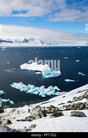 Eiskappen in der Antarktis mit Eisberg im Ozean schwimmen herum und Schmelzen im Meer Stockfoto