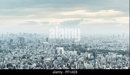 Asien Business Konzept für Immobilien und Corporate Bau - Panoramablick auf die City Skyline Luftbild unter Dämmerung Himmel und Golden Sun in Tokio Stockfoto