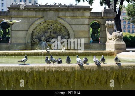 Placa de Catalunya, einem großen öffentlichen Platz in der Innenstadt von Barcelona, Katalonien (Catalunya), Spanien, Europa Stockfoto