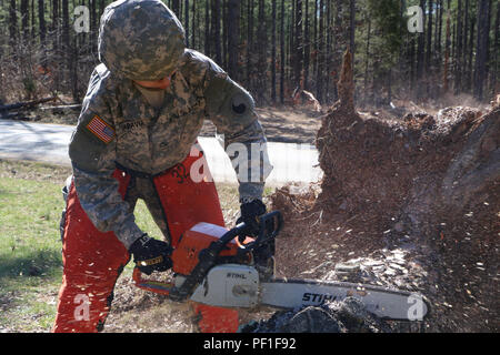Soldaten der Virginia National Guard des 276th Engineer Battalion, 91st Truppenkommando, und des 116th Special Trupps Battalion, 116th Infantry Brigade Combat Team unterstützten lokale, staatliche, bundesstaatliche und Freiwilligenorganisationen im Appomattox County, Virginia am 28. Februar 2016. Soldaten räumten Trümmer mit Kettensägen ab, führten Gesundheits- und Wohlfahrtsprüfungen durch und halfen bei der Lieferung von Nahrungsmitteln und Wasser, nachdem das Unwetter große Schäden angerichtet hatte, was die Erholung und den aktiven Einsatz des Staates unterstützte. Stockfoto