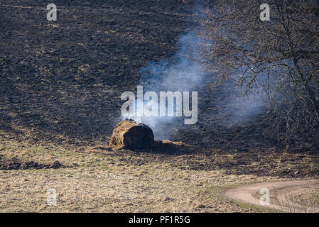Brennen im letzten Jahr Gras und Heu Walze an der Wiese. Stockfoto