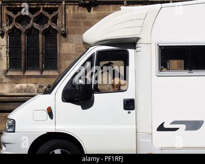 Ein Hund saß in der Kabine des Wohnmobil und sieht aus, als wenn es das Fahren ist, durch Rumpf Münster, Kingston Upon Hull, East Riding von Yorkshire, England, Großbritannien Stockfoto