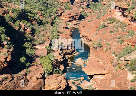 Blick hinunter in eine Schlucht von Hawks Head Aussichtspunkt in Kalbarri National Park WA Western Australien Ozeanien Stockfoto