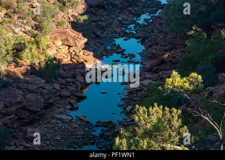 Blick hinunter in eine Schlucht von Hawks Head Aussichtspunkt in Kalbarri National Park WA Western Australien Ozeanien Stockfoto