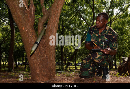 Ein Mitglied der tansanischen Volk Defence Force nimmt Hinweise auf die Größe, Art und Funktion der simulierten nicht detonierte Sprengkörper während eines humanitären Minenräumung Level 1 Schulung in Dar es Salaam, Tansania, Jan. 17, 2016. Die TPDF-gehostete Klasse Anweisung durch die Beseitigung von Explosivstoffen Techniker der Combined Joint Task Force-Horn von Afrika und half, die Fähigkeit des TPDF zu identifizieren und verfügen über explosive Kampfmittelrückstände aus früheren Konflikten verbessern. (U.S. Air Force Foto von Tech. Sgt. Dan DeCook) Stockfoto