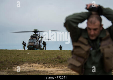 Mitglieder der Bulgarischen besondere Kräfte verlassen eines bulgarischen ALS-532 Cougar Hubschrauber und bewegen sich in Richtung der Italienischen Luftwaffe Kapitän Roberto Manzo, 74th Expeditionary Jagdgeschwader C A-10 Thunderbolt II Flugzeuge exchange Pilot, bei der Suche und Rettung Ausbildung in der Nähe von Plovdiv, Bulgarien, Jan. 11, 2016. Die besondere Kräfte hatten, um sich zu vergewissern, dass Manzo ist die richtige Person, die sie für die vor ihm Extrahieren suchen. (U.S. Air Force Foto von Flieger 1. Klasse Lukas Kitterman/Freigegeben) Stockfoto