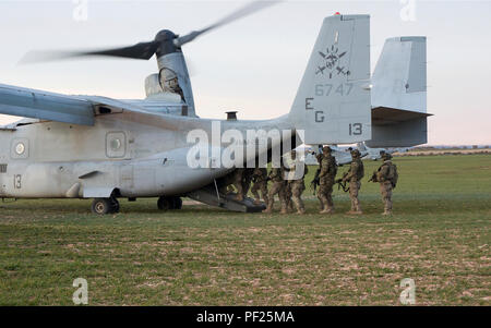 Us-Armee Fallschirmjäger auf das erste Bataillon zugeordnet, 503Rd Infanterie Regiment, 173Rd Airborne Brigade, an Bord eines US Marine Corps MV-22 B Osprey Aircraft, geflogen von Marine Medium Tiltrotor Squadron Piloten den speziellen Zweck Marine Air Ground Task Force-Crisis Antwort Afrika zugeordnet, während der Übung Sky Soldat 16, Februar 27, 2016, bei Chinchilla training Bereich in Spanien. Das Ziel der Übung Sky Soldat 16 ist 1. Die Feuerwehr Bataillon, 503Rd Infanterie Regiment an der Vorbereitung von Übungen mit der spanischen Streitkräfte Airborne Brigade (BRIPAC), Einheit Letalität erhöhen, tacti verbessern Stockfoto